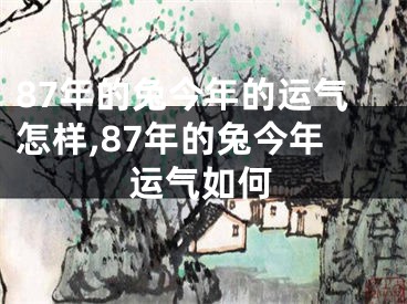 87年的兔今年的运气怎样,87年的兔今年运气如何