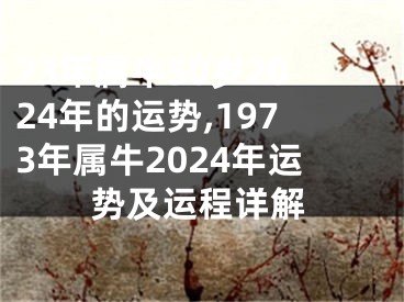 73年属牛50岁2024年的运势,1973年属牛2024年运势及运程详解