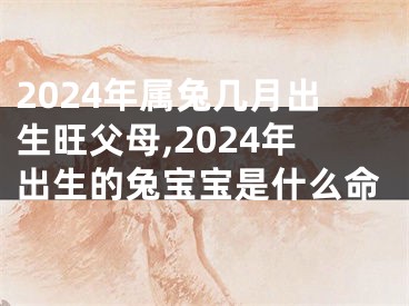 2024年属兔几月出生旺父母,2024年出生的兔宝宝是什么命