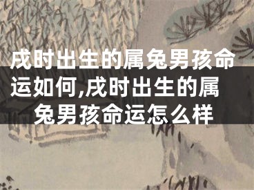 戌时出生的属兔男孩命运如何,戌时出生的属兔男孩命运怎么样