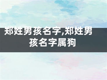 郑姓男孩名字,郑姓男孩名字属狗