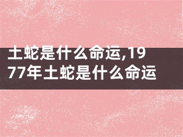 土蛇是什么命运,1977年土蛇是什么命运