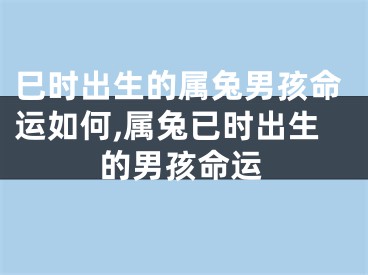 巳时出生的属兔男孩命运如何,属兔已时出生的男孩命运