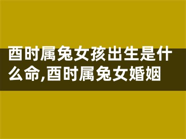 酉时属兔女孩出生是什么命,酉时属兔女婚姻