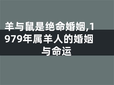 羊与鼠是绝命婚姻,1979年属羊人的婚姻与命运