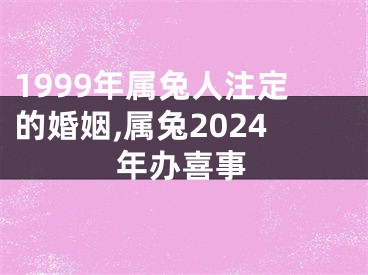 1999年属兔人注定的婚姻,属兔2024年办喜事