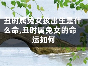 丑时属兔女孩出生是什么命,丑时属兔女的命运如何