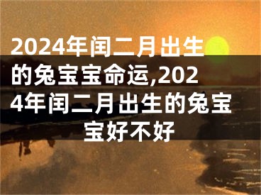 2024年闰二月出生的兔宝宝命运,2024年闰二月出生的兔宝宝好不好