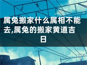 属兔搬家什么属相不能去,属兔的搬家黄道吉日