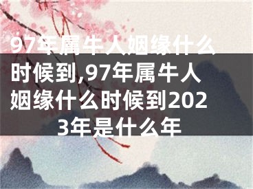 97年属牛人姻缘什么时候到,97年属牛人姻缘什么时候到2023年是什么年