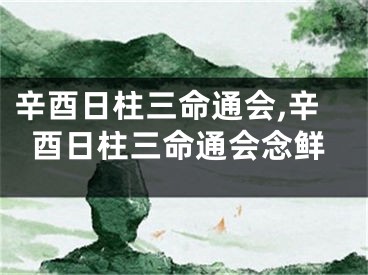 辛酉日柱三命通会,辛酉日柱三命通会念鲜