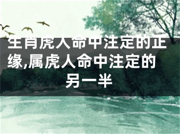 生肖虎人命中注定的正缘,属虎人命中注定的另一半