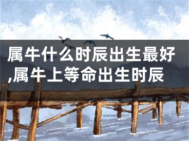 属牛什么时辰出生最好,属牛上等命出生时辰