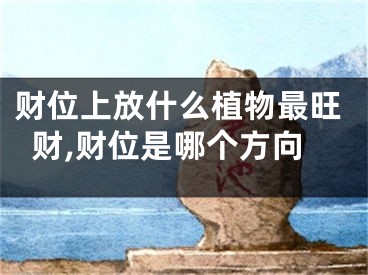财位上放什么植物最旺财,财位是哪个方向