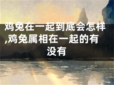 鸡兔在一起到底会怎样,鸡兔属相在一起的有没有