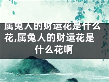 属兔人的财运花是什么花,属兔人的财运花是什么花啊