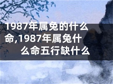 1987年属兔的什么命,1987年属兔什么命五行缺什么