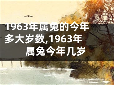 1963年属兔的今年多大岁数,1963年属兔今年几岁
