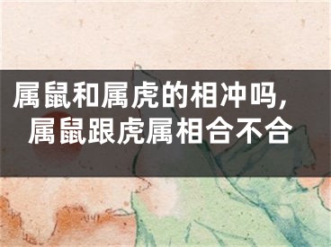 属鼠和属虎的相冲吗,属鼠跟虎属相合不合