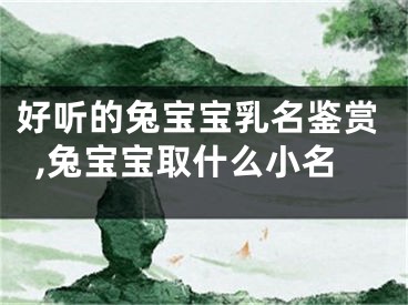 好听的兔宝宝乳名鉴赏,兔宝宝取什么小名