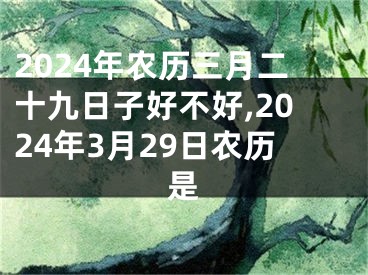 2024年农历三月二十九日子好不好,2024年3月29日农历是