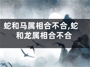 蛇和马属相合不合,蛇和龙属相合不合