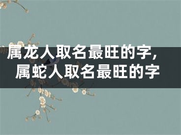 属龙人取名最旺的字,属蛇人取名最旺的字