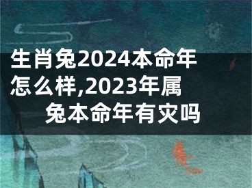 生肖兔2024本命年怎么样,2023年属兔本命年有灾吗