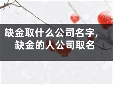 缺金取什么公司名字,缺金的人公司取名