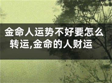 金命人运势不好要怎么转运,金命的人财运
