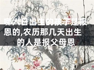 哪六日出生的孩子是报恩的,农历那几天出生的人是报父母恩