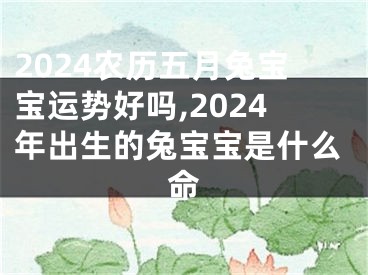2024农历五月兔宝宝运势好吗,2024年出生的兔宝宝是什么命