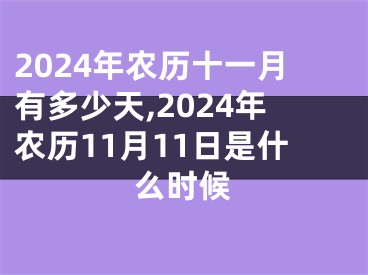 2024年农历十一月有多少天,2024年农历11月11日是什么时候