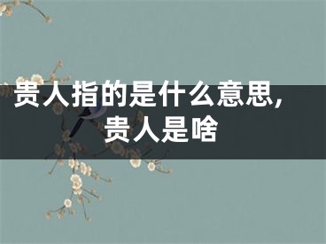 贵人指的是什么意思,贵人是啥