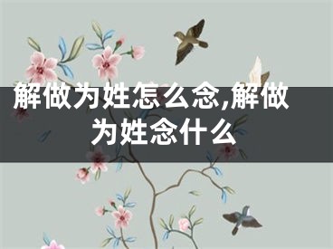 解做为姓怎么念,解做为姓念什么