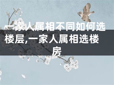 一家人属相不同如何选楼层,一家人属相选楼房