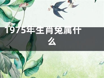 1975年生肖兔属什么