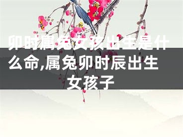 卯时属兔女孩出生是什么命,属兔卯时辰出生女孩子