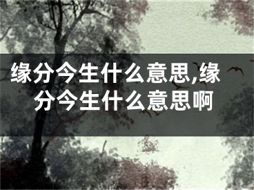 缘分今生什么意思,缘分今生什么意思啊