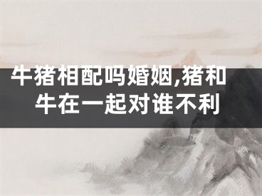牛猪相配吗婚姻,猪和牛在一起对谁不利