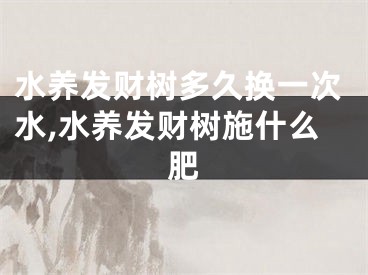 水养发财树多久换一次水,水养发财树施什么肥