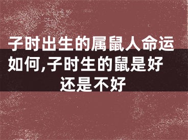 子时出生的属鼠人命运如何,子时生的鼠是好还是不好