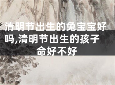 清明节出生的兔宝宝好吗,清明节出生的孩子命好不好