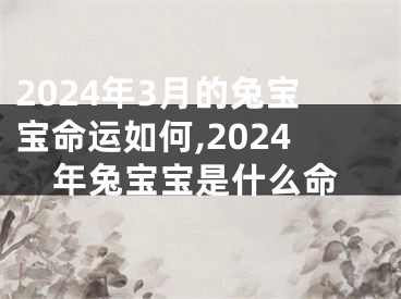 2024年3月的兔宝宝命运如何,2024年兔宝宝是什么命