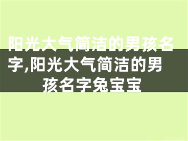阳光大气简洁的男孩名字,阳光大气简洁的男孩名字兔宝宝
