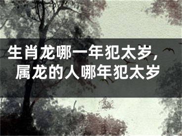 生肖龙哪一年犯太岁,属龙的人哪年犯太岁