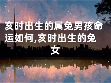 亥时出生的属兔男孩命运如何,亥时出生的兔女