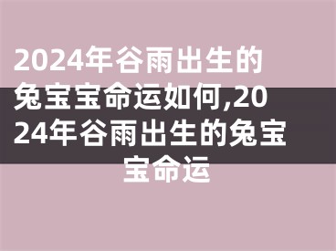 2024年谷雨出生的兔宝宝命运如何,2024年谷雨出生的兔宝宝命运