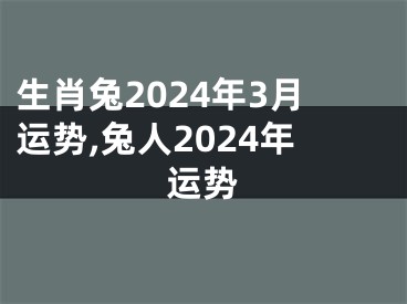 生肖兔2024年3月运势,兔人2024年运势
