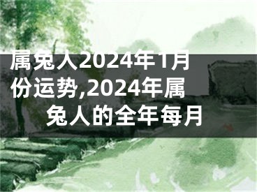 属兔人2024年1月份运势,2024年属兔人的全年每月